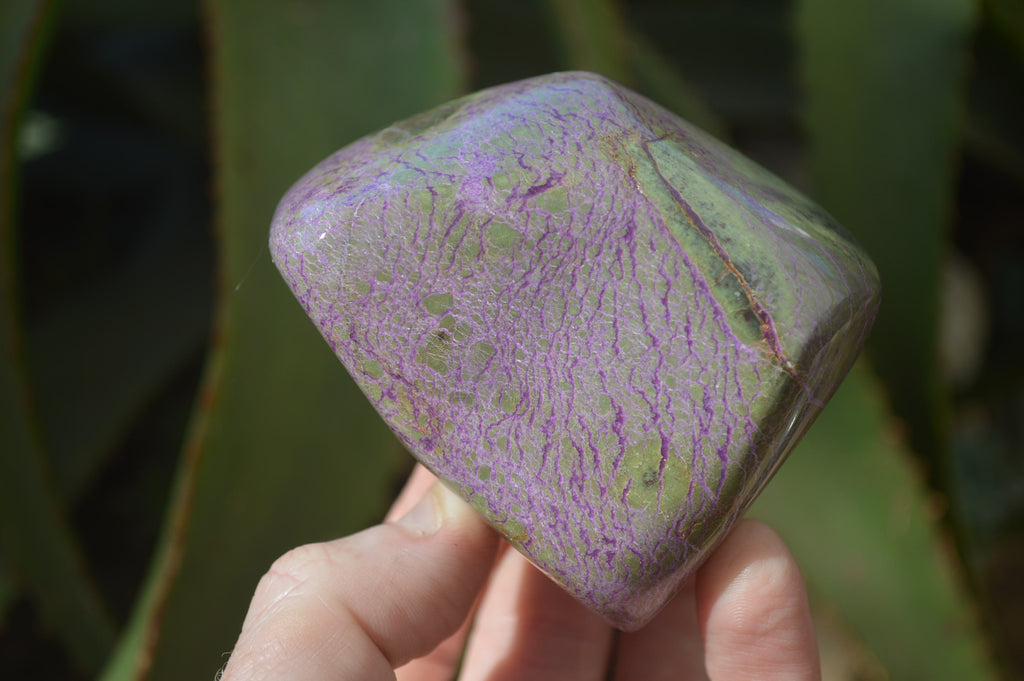 Polished Stichtite & Serpentine Standing Free Forms x 6 From Barberton, South Africa - Toprock Gemstones and Minerals 