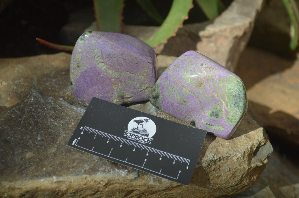 Polished Stichtite & Serpentine Standing Free Forms x 6 From Barberton, South Africa - Toprock Gemstones and Minerals 