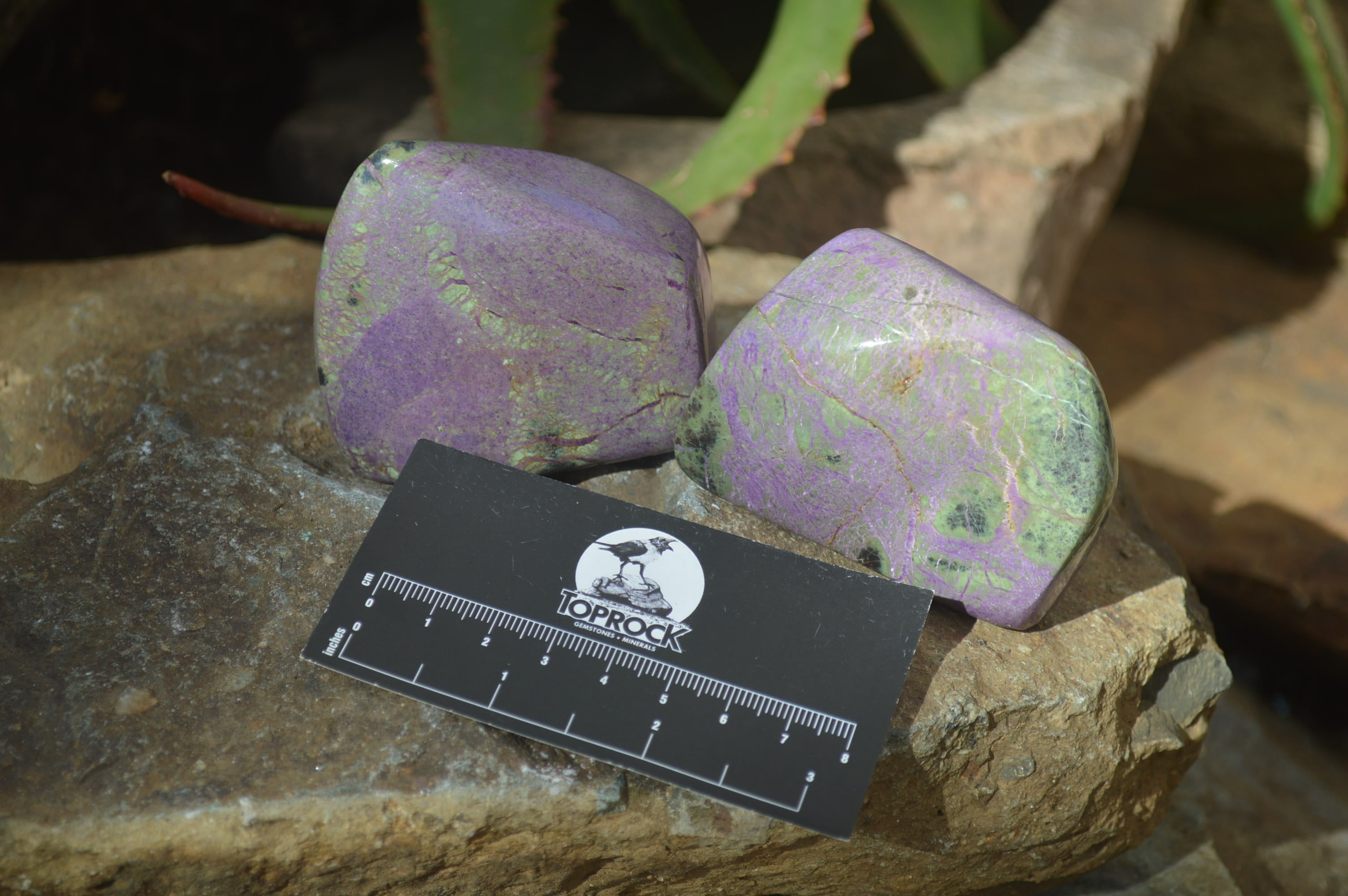 Polished Stichtite & Serpentine Standing Free Forms x 6 From Barberton, South Africa - Toprock Gemstones and Minerals 