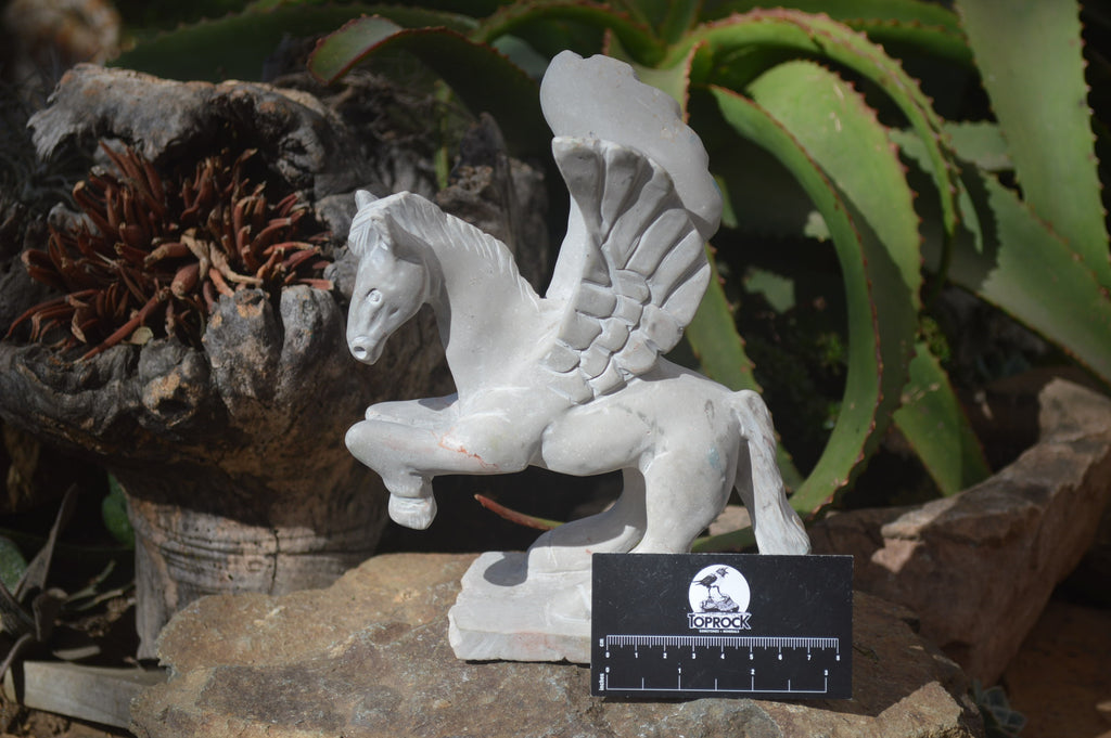 Polished White Marble Pegasus Carving x 1 From Zimbabwe - Toprock Gemstones and Minerals 