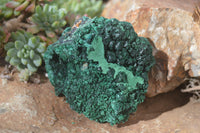Natural Chatoyant Silky Malachite Specimens  x 3 From Kasompe, Congo - Toprock Gemstones and Minerals 