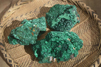 Natural Chatoyant Silky Malachite Specimens  x 3 From Kasompe, Congo - Toprock Gemstones and Minerals 