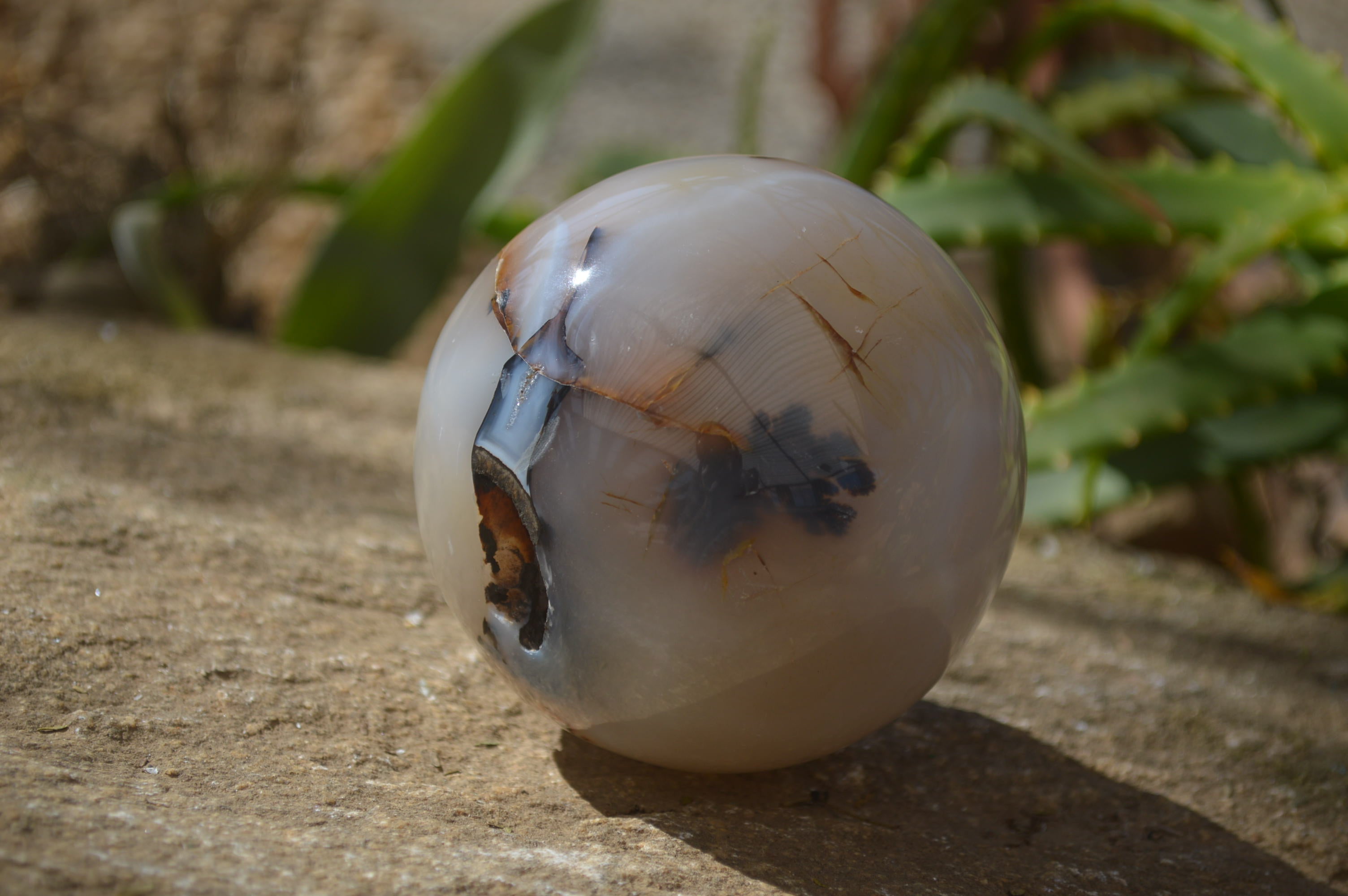 Polished Banded Agate Spheres  x 2 From West Coast, Madagascar - Toprock Gemstones and Minerals 