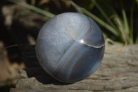 Polished Banded Agate Spheres  x 2 From West Coast, Madagascar - Toprock Gemstones and Minerals 