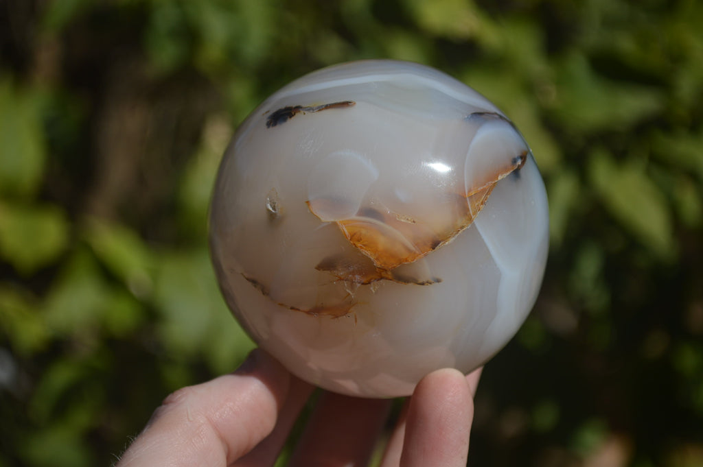 Polished Banded Agate Spheres  x 2 From West Coast, Madagascar - Toprock Gemstones and Minerals 