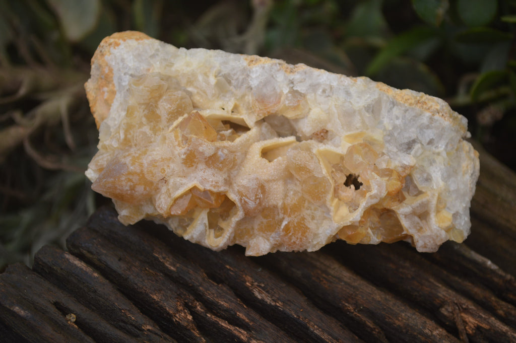 Natural Golden Limonite Quartz Clusters x 6 From Zambia - Toprock Gemstones and Minerals 