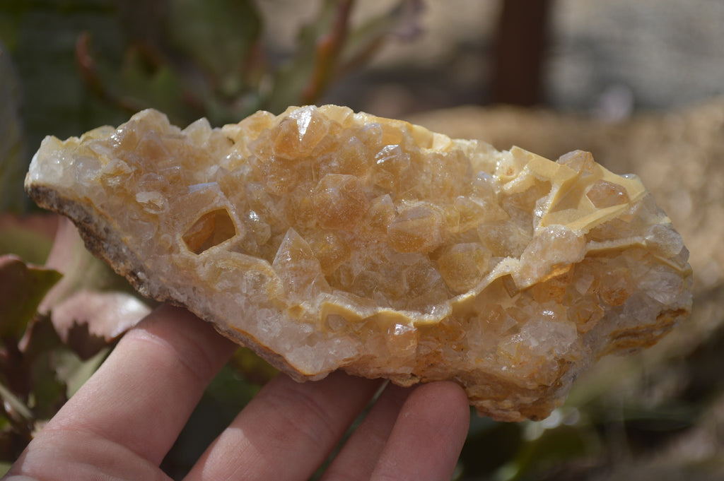 Natural Golden Limonite Quartz Clusters x 6 From Zambia - Toprock Gemstones and Minerals 