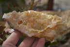 Natural Golden Limonite Quartz Clusters x 6 From Zambia - Toprock Gemstones and Minerals 