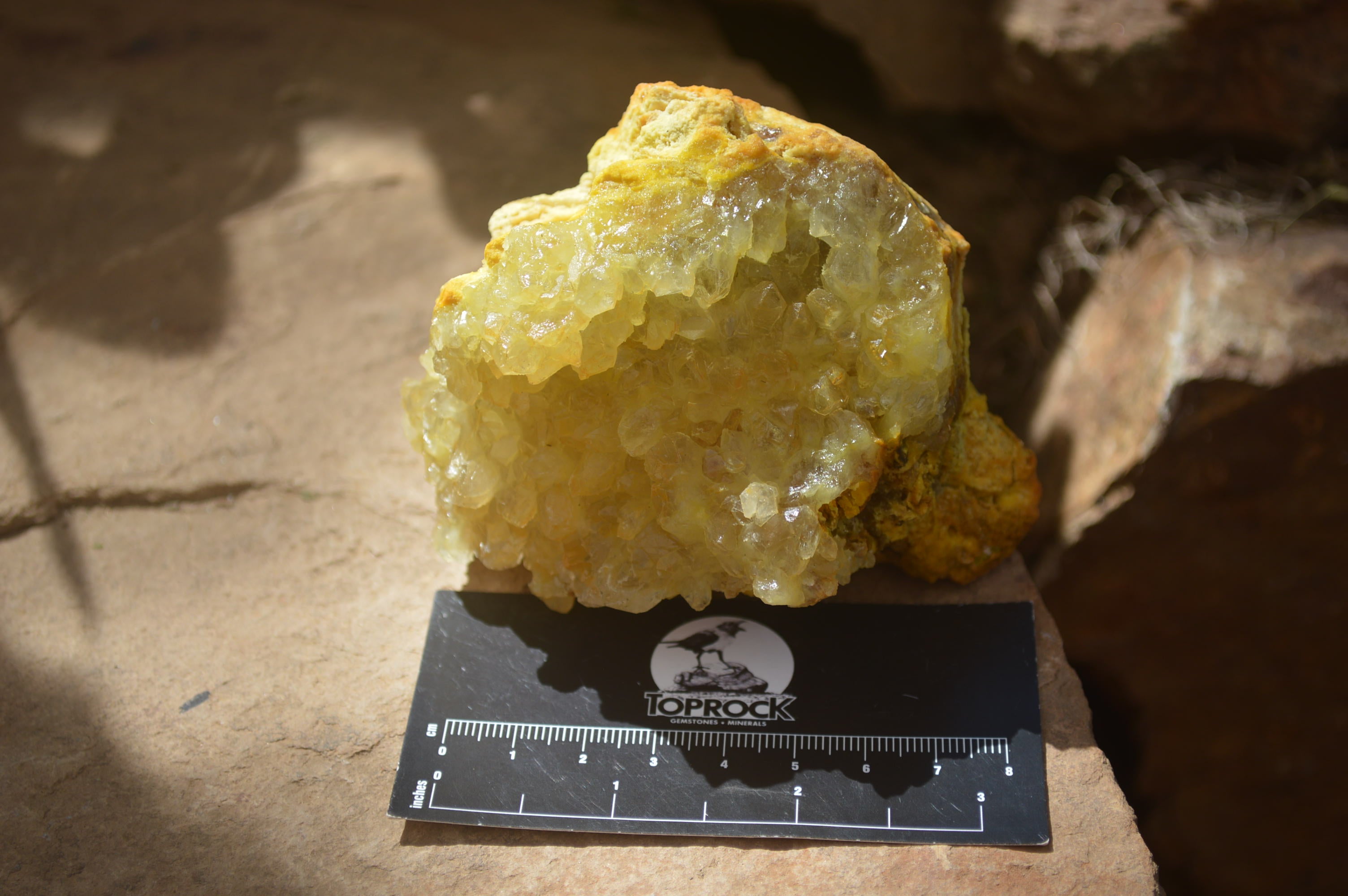 Natural Golden Limonite Quartz Clusters x 6 From Zambia - Toprock Gemstones and Minerals 