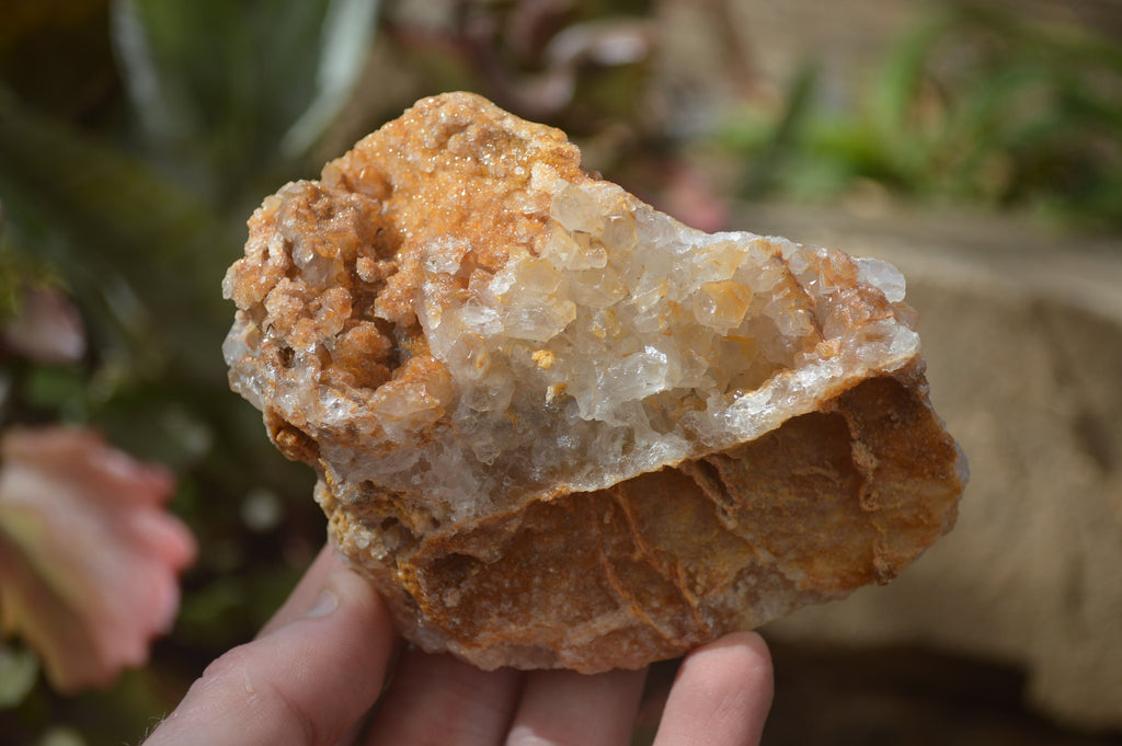 Natural Golden Limonite Quartz Clusters x 6 From Zambia - Toprock Gemstones and Minerals 