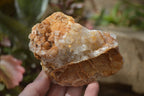 Natural Golden Limonite Quartz Clusters x 6 From Zambia - Toprock Gemstones and Minerals 