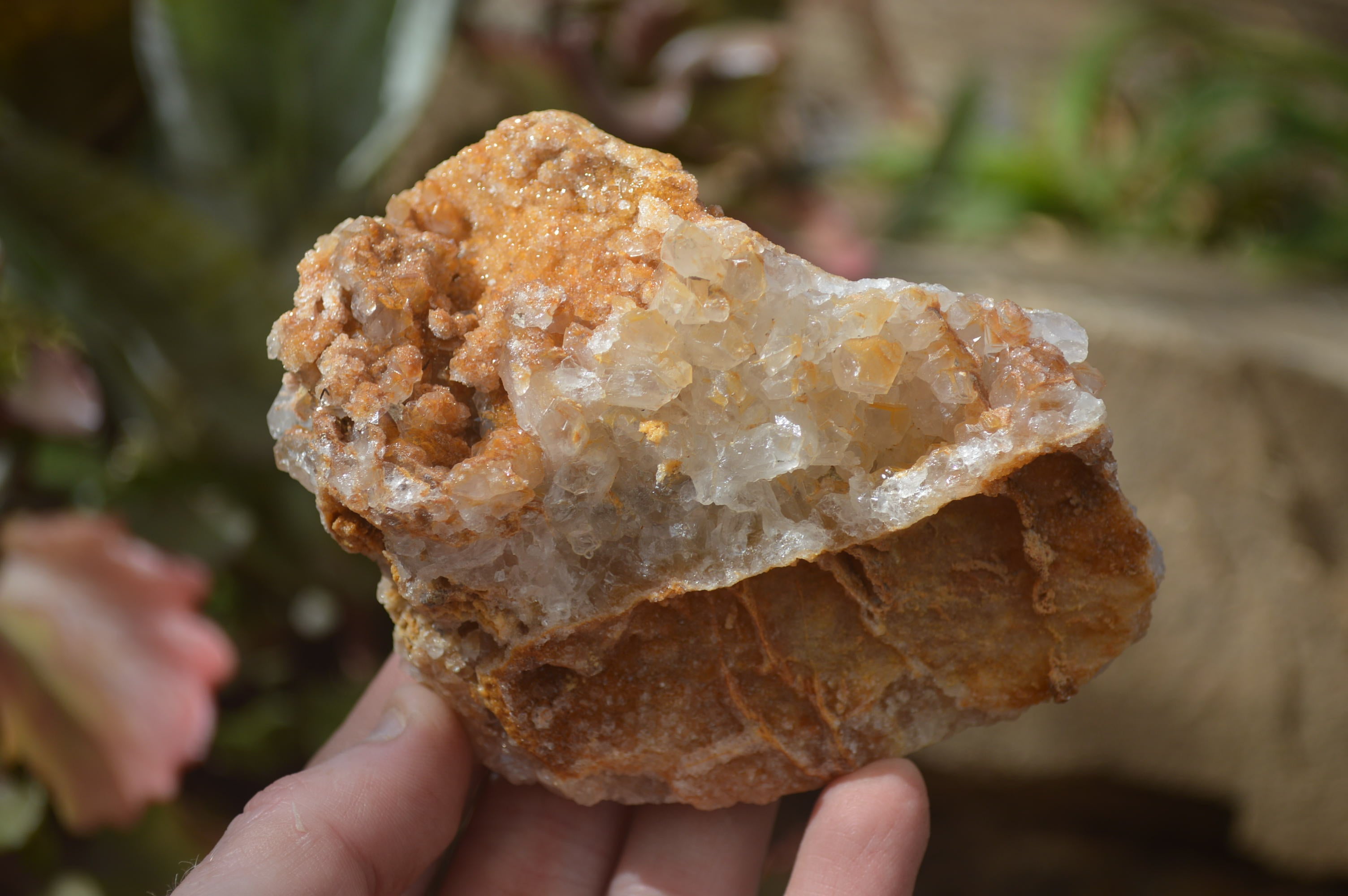 Natural Golden Limonite Quartz Clusters x 6 From Zambia - Toprock Gemstones and Minerals 