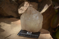 Polished Large Smokey Quartz Crystals x 2 From Angola - Toprock Gemstones and Minerals 