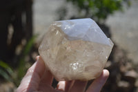 Polished Large Smokey Quartz Crystals x 2 From Angola - Toprock Gemstones and Minerals 