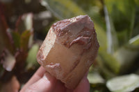 Natural Red Hematoid Quartz Specimens x 4 From Karoi, Zimbabwe - Toprock Gemstones and Minerals 