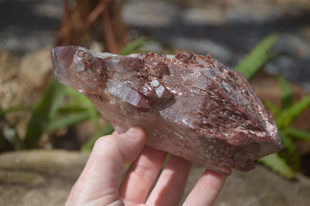 Natural Red Hematoid Quartz Specimens x 4 From Karoi, Zimbabwe - Toprock Gemstones and Minerals 