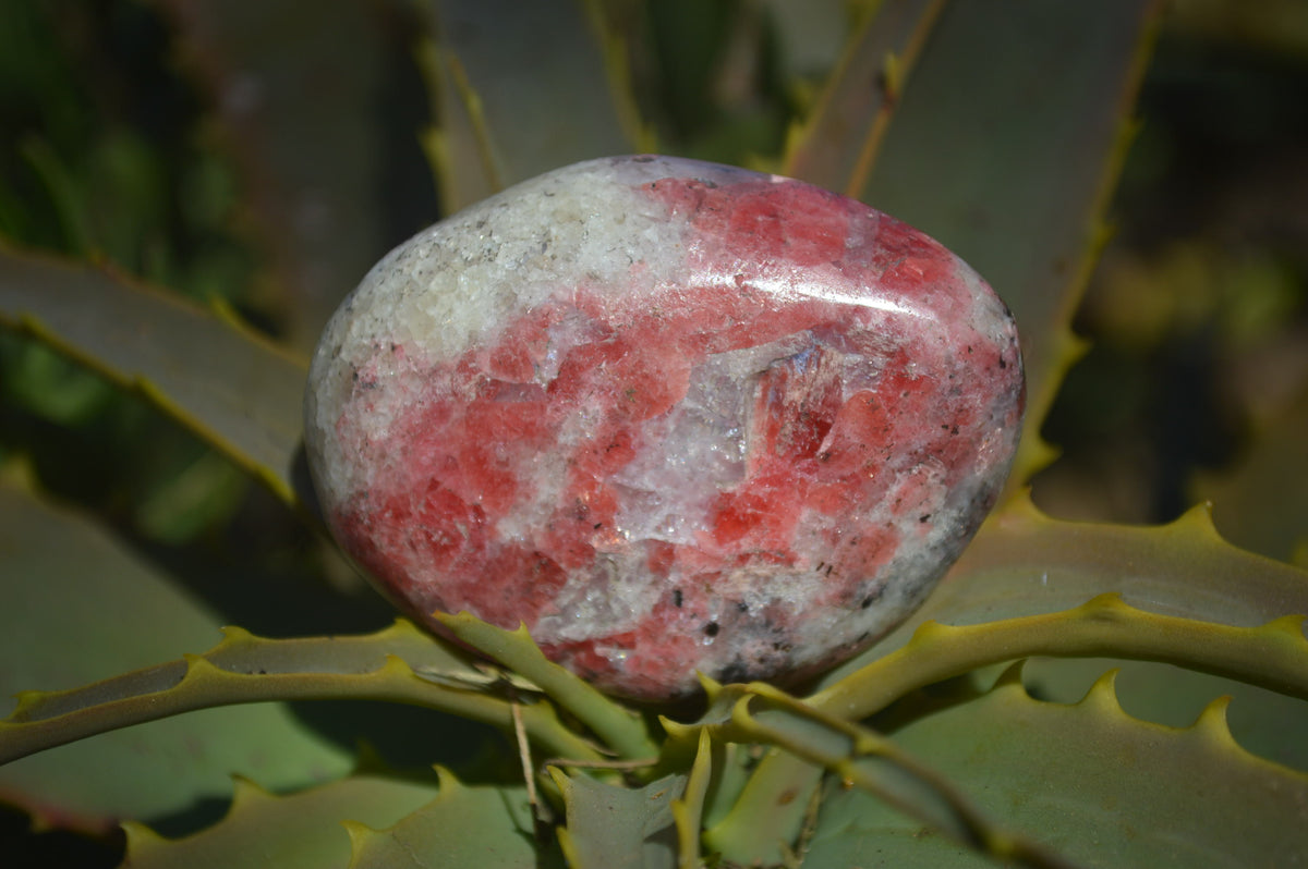 Polished Rhodonite Free Forms x 4 From Southern Africa - Toprock Gemstones and Minerals 