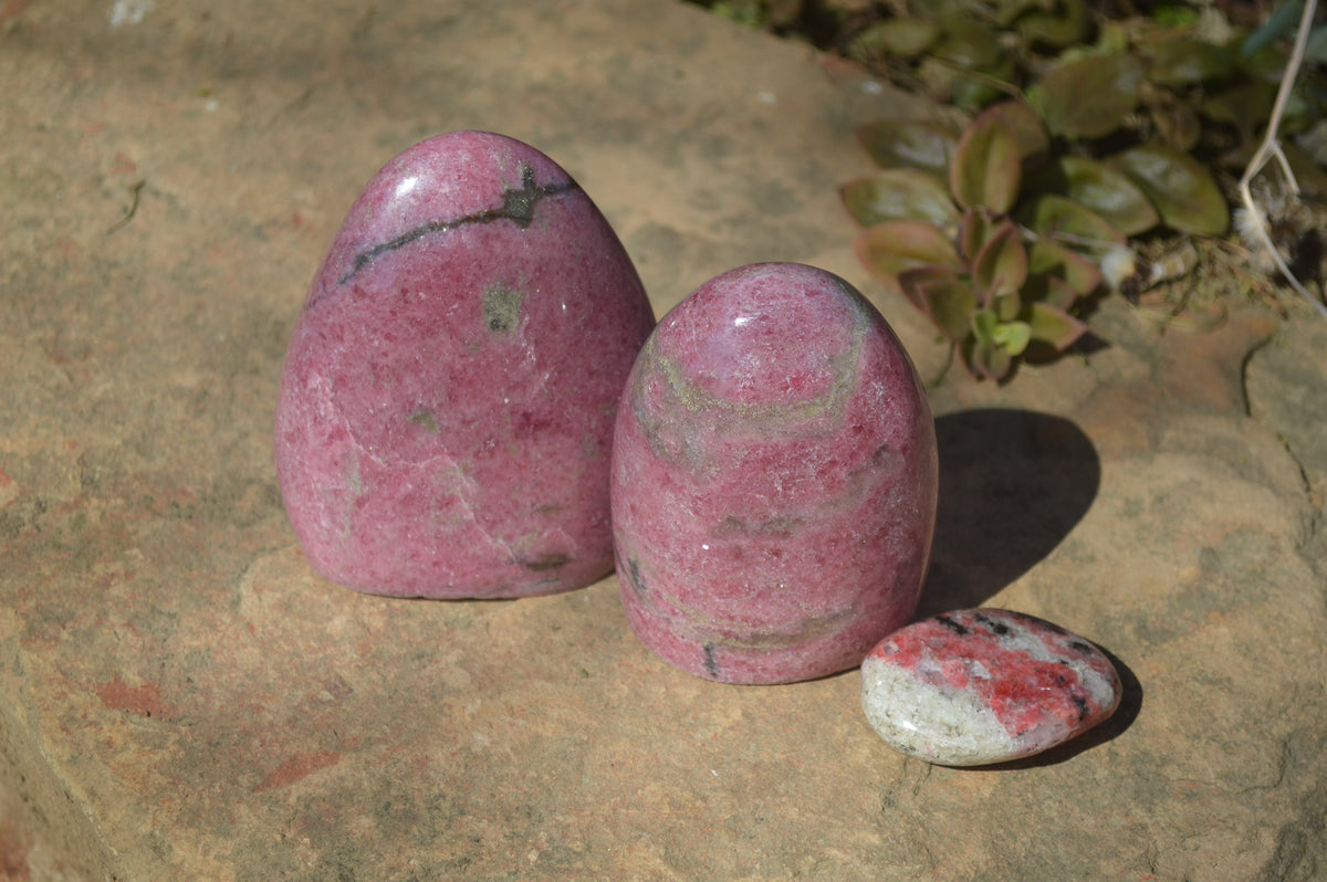 Polished Rhodonite Free Forms x 4 From Southern Africa - Toprock Gemstones and Minerals 