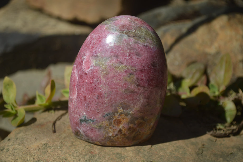 Polished Rhodonite Free Forms x 4 From Southern Africa - Toprock Gemstones and Minerals 