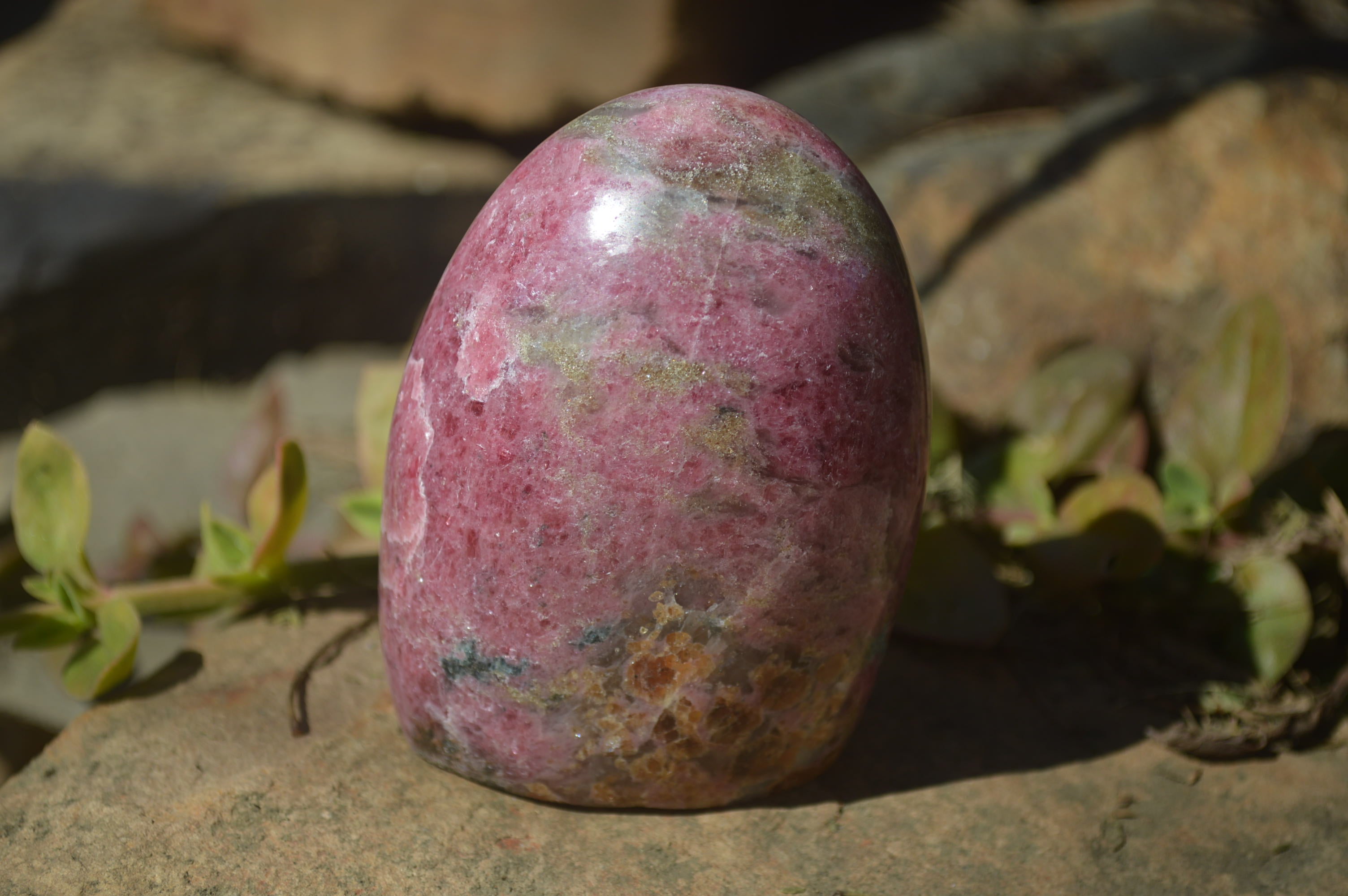 Polished Rhodonite Free Forms x 4 From Southern Africa - Toprock Gemstones and Minerals 