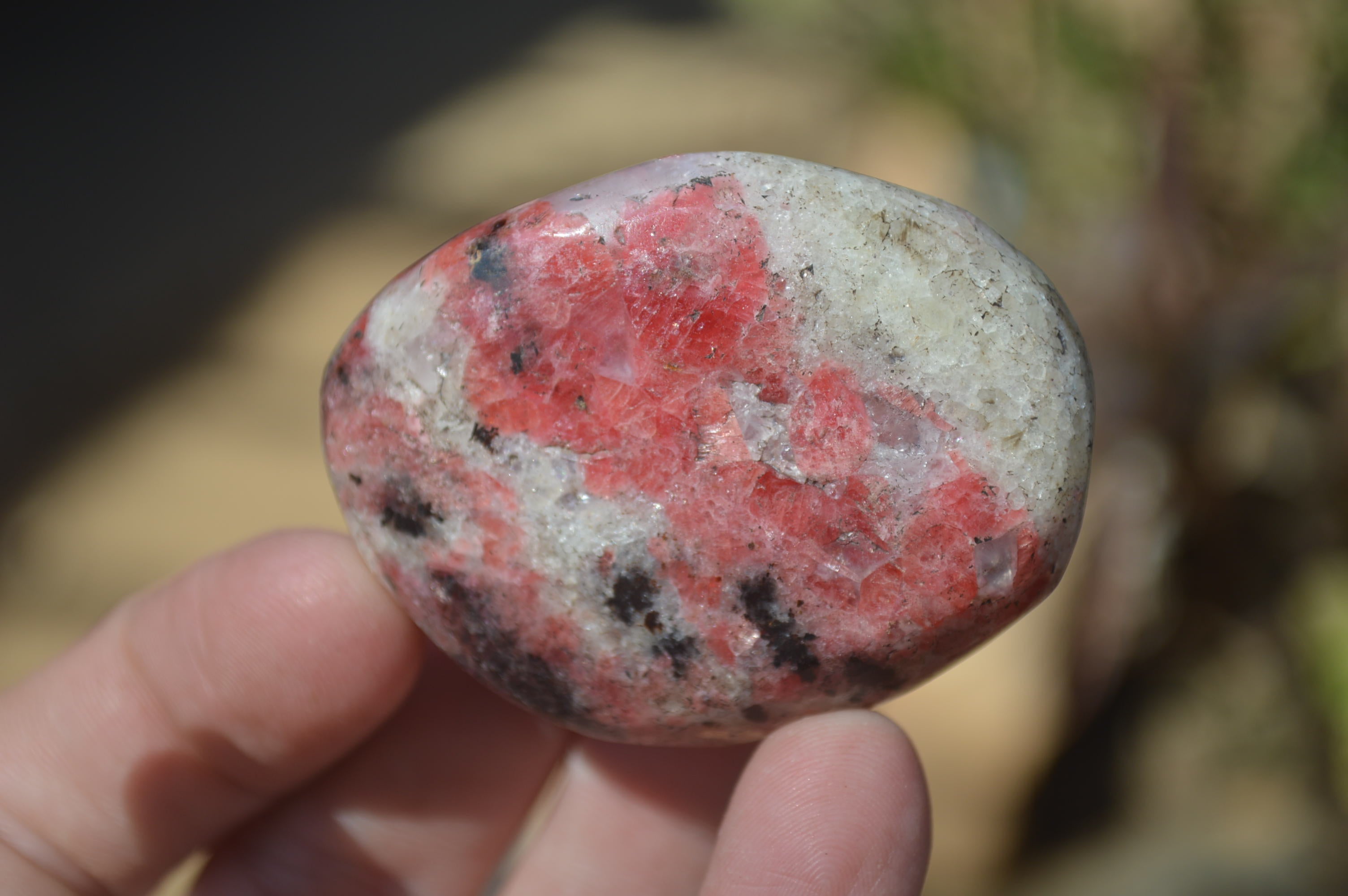 Polished Rhodonite Free Forms x 4 From Southern Africa - Toprock Gemstones and Minerals 