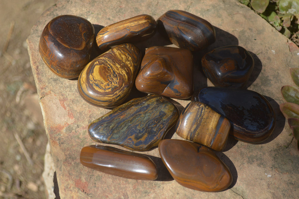 Polished Golden Tigers Eye Free Forms x 12 From Prieska, Northern Cape - Toprock Gemstones and Minerals 