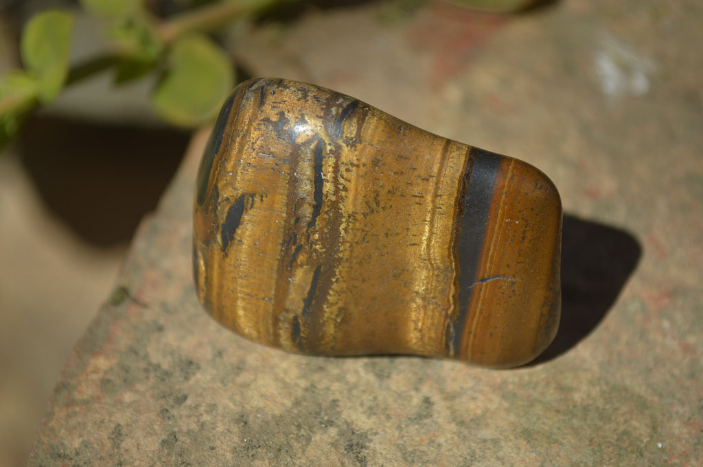 Polished Golden Tigers Eye Free Forms x 12 From Prieska, Northern Cape - Toprock Gemstones and Minerals 