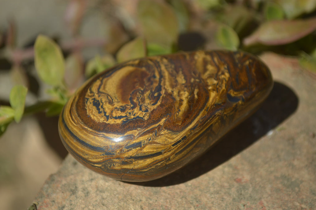 Polished Golden Tigers Eye Free Forms x 12 From Prieska, Northern Cape - Toprock Gemstones and Minerals 