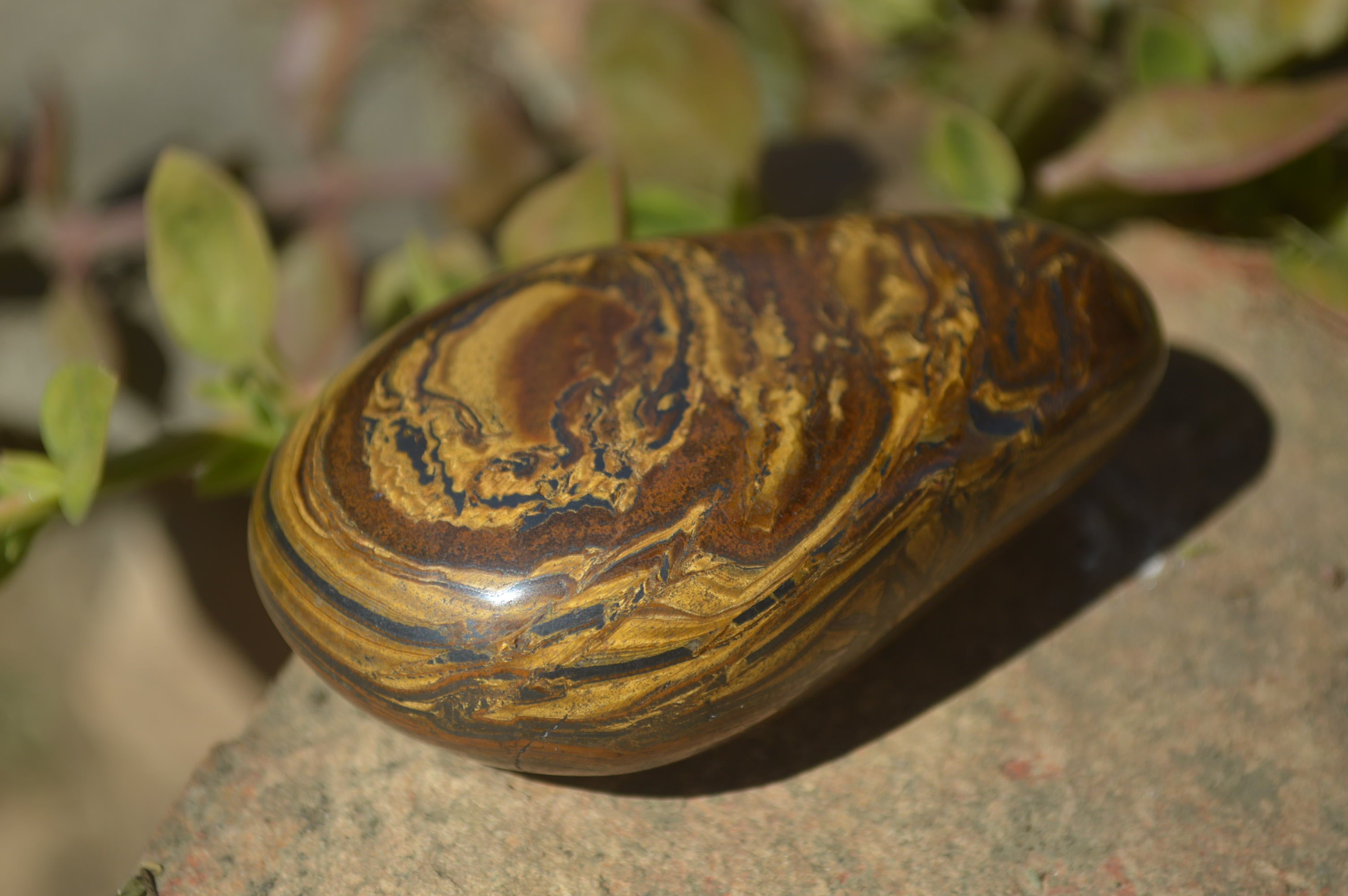 Polished Golden Tigers Eye Free Forms x 12 From Prieska, Northern Cape - Toprock Gemstones and Minerals 
