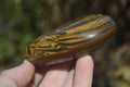 Polished Golden Tigers Eye Free Forms x 12 From Prieska, Northern Cape - Toprock Gemstones and Minerals 