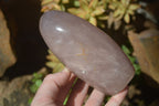 Polished Rose Quartz Standing Free Forms x 3 From Madagascar - Toprock Gemstones and Minerals 