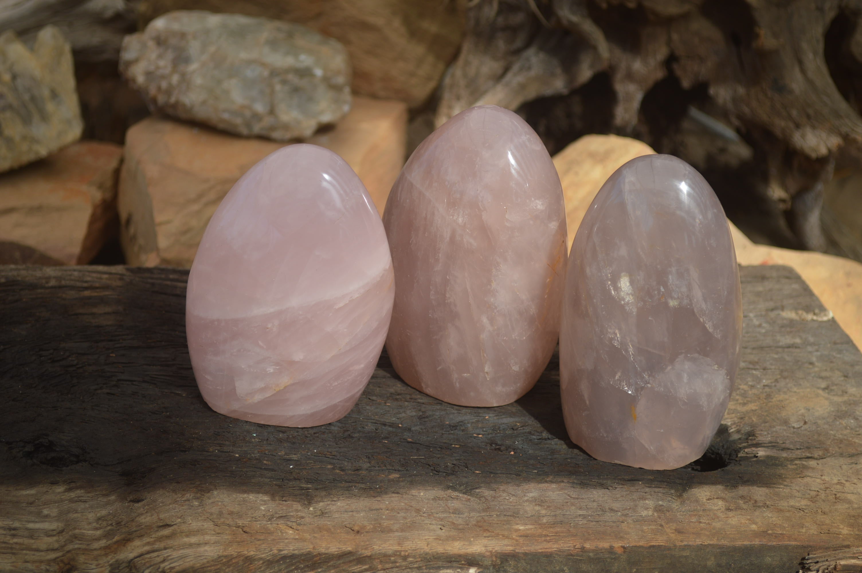 Polished Rose Quartz Standing Free Forms x 3 From Madagascar - Toprock Gemstones and Minerals 