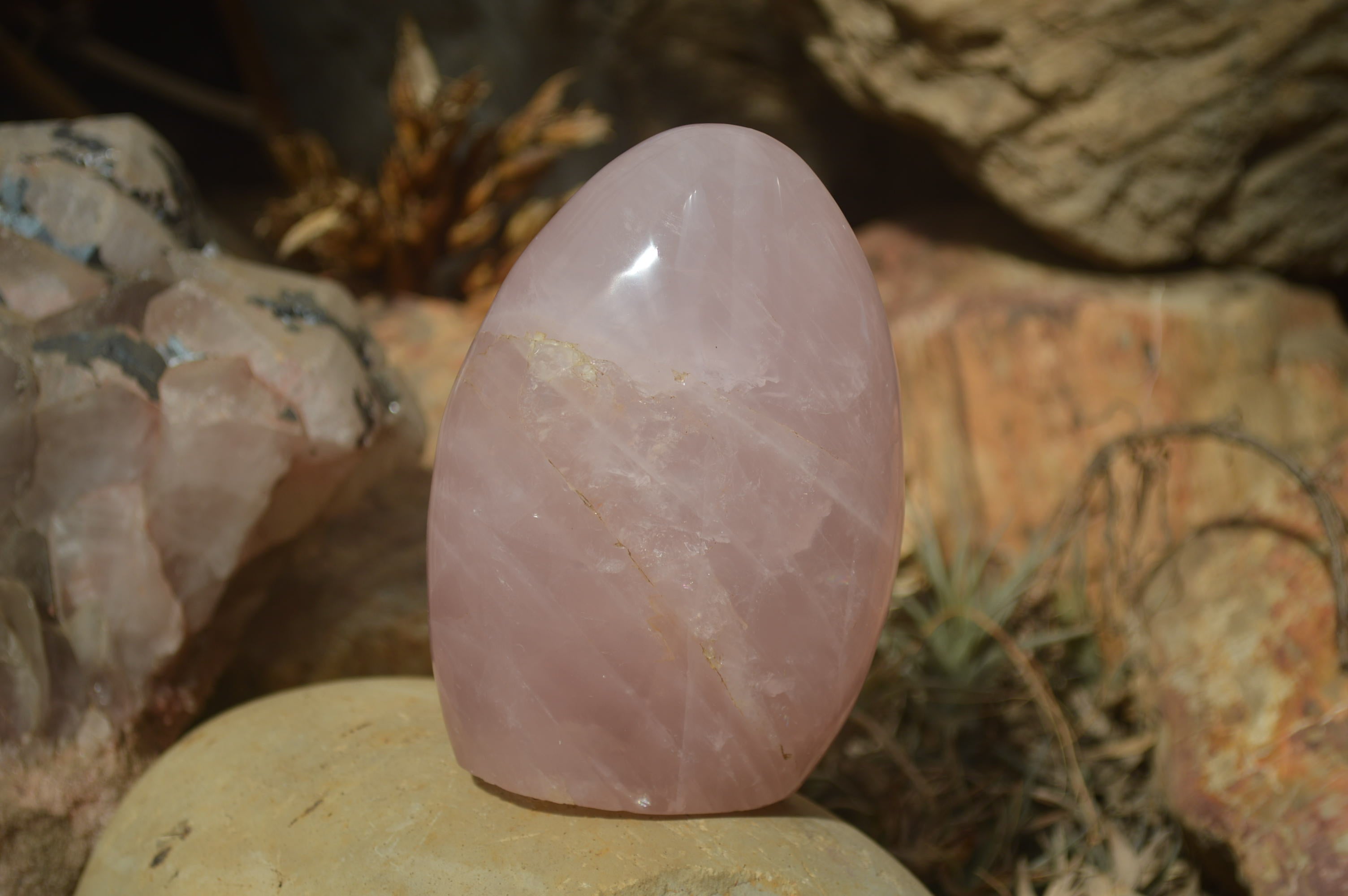 Polished Rose Quartz Standing Free Forms x 3 From Madagascar - Toprock Gemstones and Minerals 