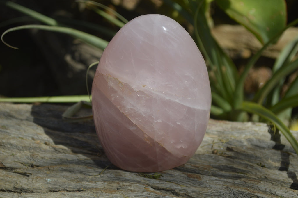 Polished Rose Quartz Standing Free Forms x 3 From Madagascar - Toprock Gemstones and Minerals 