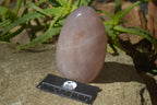 Polished Rose Quartz Standing Free Forms x 3 From Madagascar - Toprock Gemstones and Minerals 