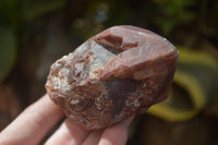 Natural Red Hematoid Quartz Specimens x 12 From Karoi, Zimbabwe - Toprock Gemstones and Minerals 