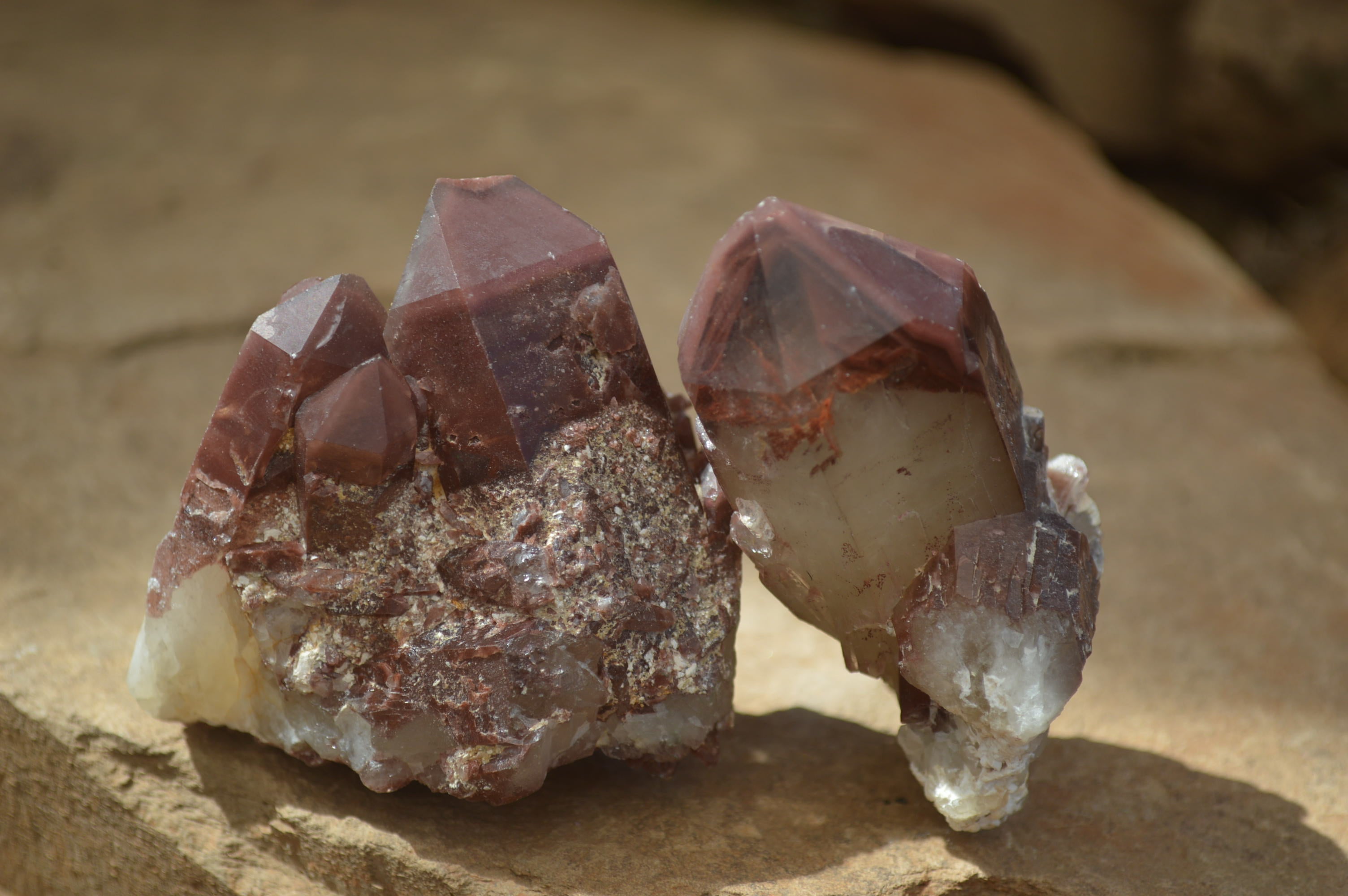 Natural Red Hematoid Quartz Specimens x 12 From Karoi, Zimbabwe - Toprock Gemstones and Minerals 