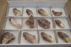 Natural Red Hematoid Quartz Specimens x 12 From Karoi, Zimbabwe - Toprock Gemstones and Minerals 