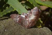 Natural Red Hematoid Quartz Specimens x 12 From Karoi, Zimbabwe - Toprock Gemstones and Minerals 