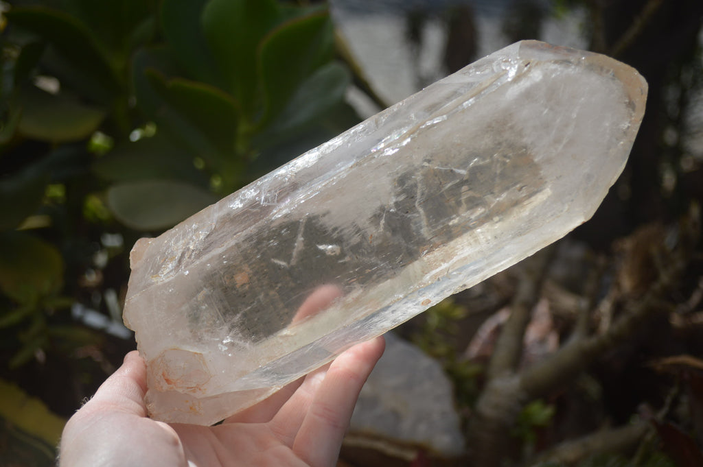 Natural Large Clear Quartz Crystals  x 2 From Madagascar - Toprock Gemstones and Minerals 