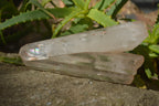 Natural Large Clear Quartz Crystals  x 2 From Madagascar - Toprock Gemstones and Minerals 
