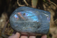 Polished Rare Purple Flash Labradorite Standing Free Forms x 3 From Tulear, Madagascar - Toprock Gemstones and Minerals 