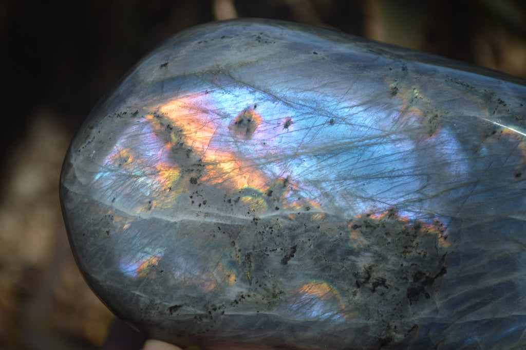Polished Rare Purple Flash Labradorite Standing Free Forms x 3 From Tulear, Madagascar - Toprock Gemstones and Minerals 