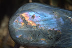 Polished Rare Purple Flash Labradorite Standing Free Forms x 3 From Tulear, Madagascar - Toprock Gemstones and Minerals 