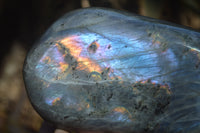 Polished Rare Purple Flash Labradorite Standing Free Forms x 3 From Tulear, Madagascar - Toprock Gemstones and Minerals 