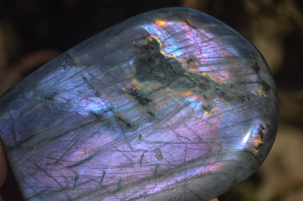 Polished Rare Purple Flash Labradorite Standing Free Forms x 3 From Tulear, Madagascar - Toprock Gemstones and Minerals 