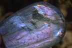 Polished Rare Purple Flash Labradorite Standing Free Forms x 3 From Tulear, Madagascar - Toprock Gemstones and Minerals 