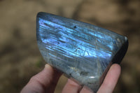 Polished Rare Purple Flash Labradorite Standing Free Forms x 3 From Tulear, Madagascar - Toprock Gemstones and Minerals 