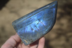 Polished Rare Purple Flash Labradorite Standing Free Forms x 3 From Tulear, Madagascar - Toprock Gemstones and Minerals 