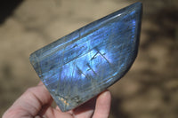 Polished Rare Purple Flash Labradorite Standing Free Forms x 3 From Tulear, Madagascar - Toprock Gemstones and Minerals 